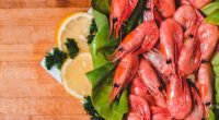 The Good The Bad and The Delicious Why You Should Include Shrimp To your Diet and Understanding the Side Effects