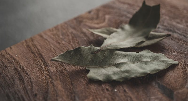 Discover the 5 Amazing Health Advantages Offered by Bay Leaves